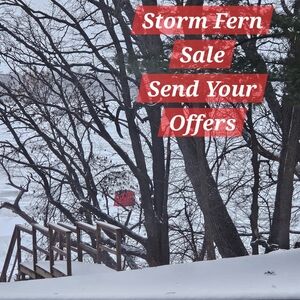 Sale Storm Fern Snowstorm Sale Send All Offers!!! All Catagories And Items